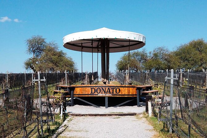 Visit to 3 Vineyards in the Region, departing from Querétaro - A 7–8 Hour Wine Day From Querétaro With a Simple, Predictable Pace