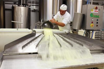 Visit to the dairy - From milk analysis to packaging: how the cheese-making runs in an hour