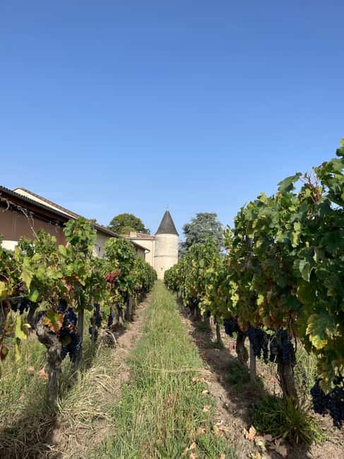 Visit to the property and wine/cheese pairing workshop - CHATEAU CRUZEAU: a five-generation family estate with Saint-Émilion/Pomerol context