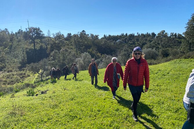 Walk in the Hills with Goat Herder-Local Honey, Wine and Cheese Tasting - Practical Tips to Get More Out of the Walk and Tasting