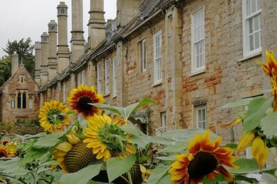 Wells, Cheddar Cheese and Cheddar Gorge - Private Day Trip from Bath - Wells on foot: cathedral, the world-famous clock, Market Place, and Vicars’ Close
