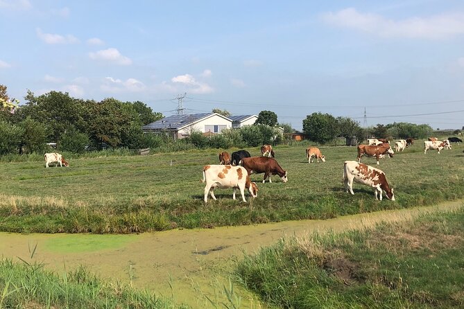 Windmill, Dairy Farms & Countryside Electric Bike Tour - Stop 4: Ransdorp and the church view option