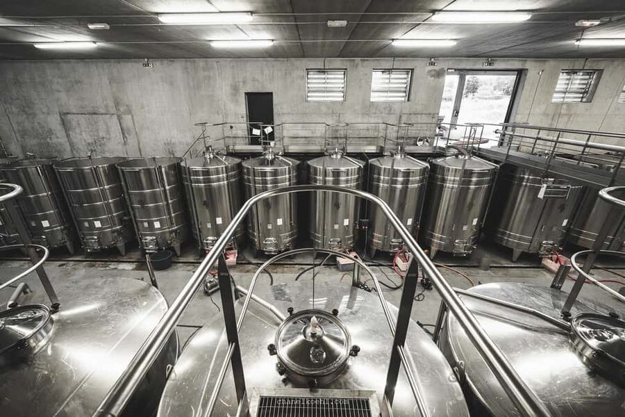 Wine and Cheese experience - Loire Valley tasting cellar: what you’re really paying for