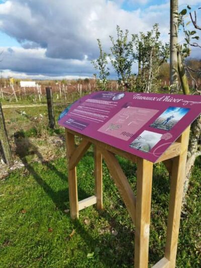 Wine and Cheese experience - Arriving at Cave Pierre et Bertrand COULY: the welcome and your pacing
