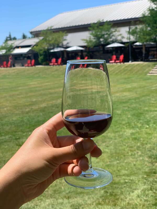 Wine & Cheese Afternoon Wine Tours in NOTL - Boutique Shopping Time: Bring Home Bottles Without the Headache