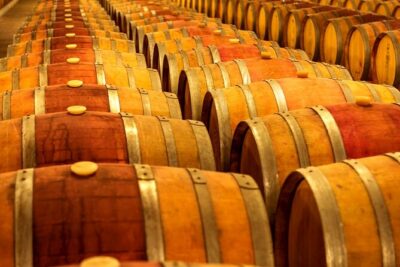 Wine, Cheese, Chocolate 6 Hour Tasting Tour with Lunch - Reif Estate Winery: three wines, winemaker’s choice