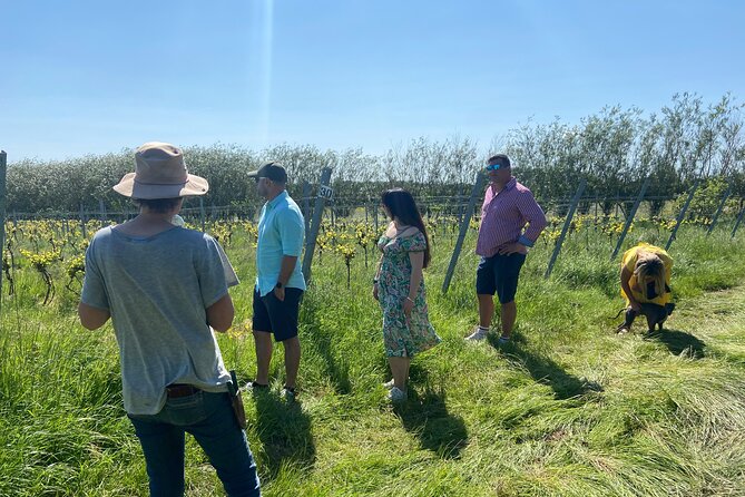 Wine & Cheese in the Somerset Valleys - with Michelin-star lunch! - Cheddar village and the cheese tasting: what makes Cheddar different