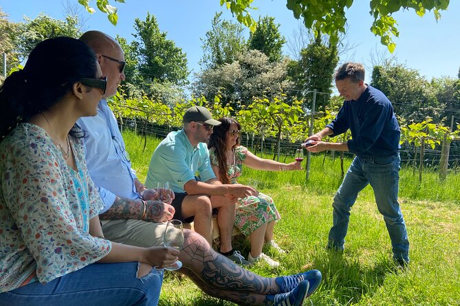 Wine & Cheese in the Somerset Valleys - with Michelin-star lunch! - Limeburn Hill vineyard near Chew Magna: biodynamic tastings with real context