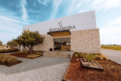 Wine Route tour starting from Querétaro - Price, Value, and the Extra Fees to Budget