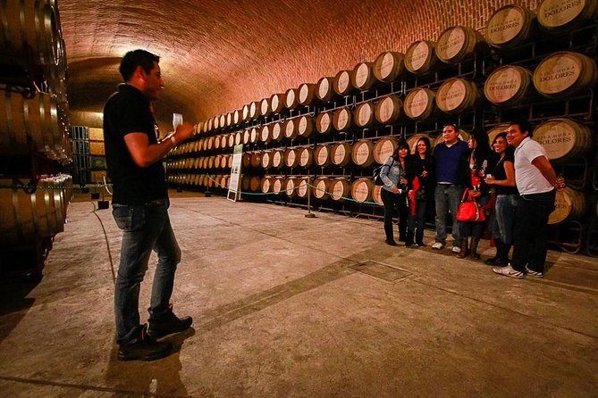 Wine Route tour starting from Querétaro - What You’ll Learn (Even If You’re Not a Wine Person)