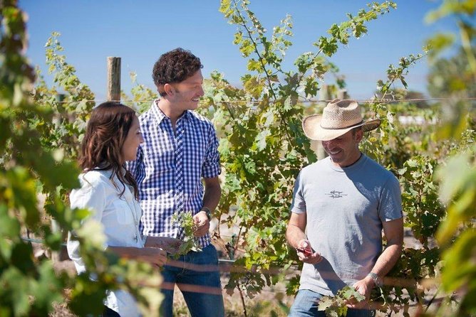 Wine Route tour starting from Querétaro - Meals, Energy, and How to Keep the Day Comfortable