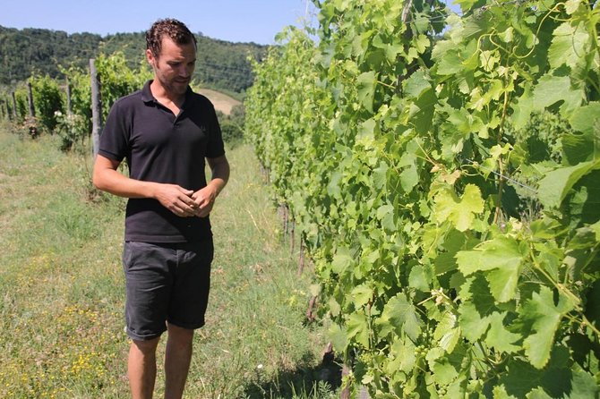 Winery tour and wine, cheese & charcuterie tasting - Price and value: what $72.09 buys you in real terms