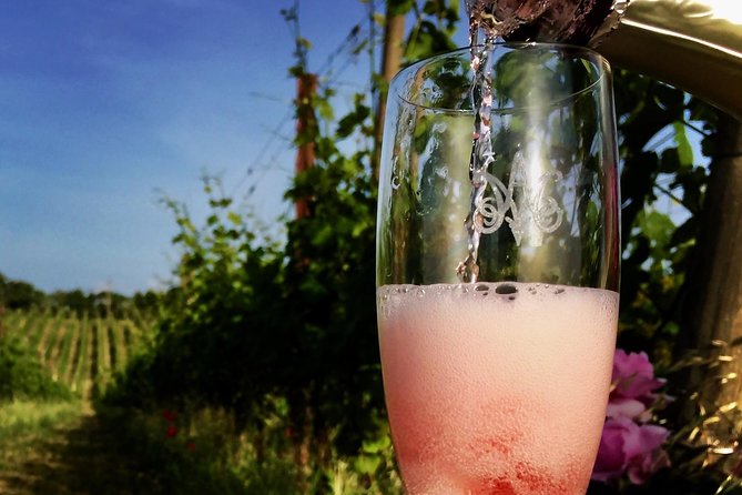Winery tour and wine, cheese & charcuterie tasting - What to do before you go: small prep that pays off