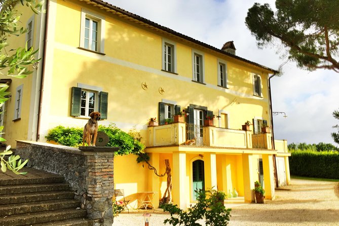Winery tour and wine, cheese & charcuterie tasting - Getting there from Orvieto: plan for rural timing
