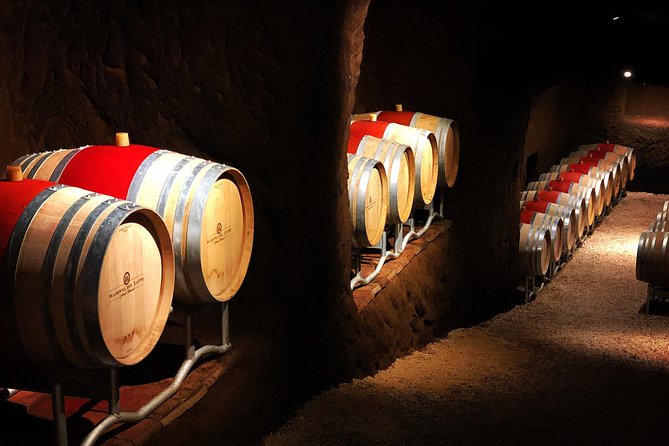Winery tour and wine & cheese tasting - The 4-wine tasting plus cheese pairing: what you’re actually eating