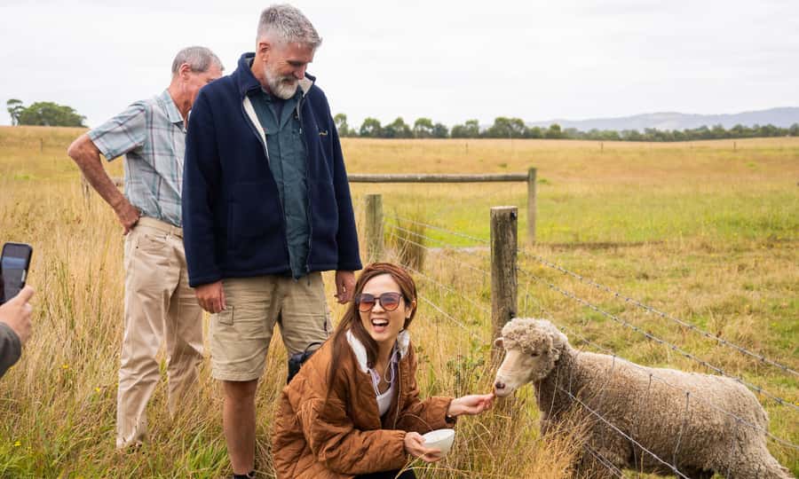 Yarra Valley Full Day Grazing Tour: Gin, Wine, Pizza, Cheese - Stag Lane Farm Distillery: pizza plus gin makes the day feel complete