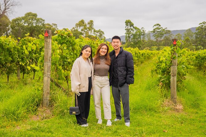 Yarra Valley Grazing Tour Wine, Cheese, Gin, Pizza from Melbourne - Coldstream Dairy on a working farm: cheese with real agriculture behind it