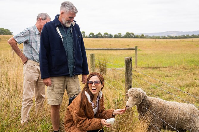 Yarra Valley Grazing Tour Wine, Cheese, Gin, Pizza from Melbourne - Healesville coffee stop: a small-town break from the tastings