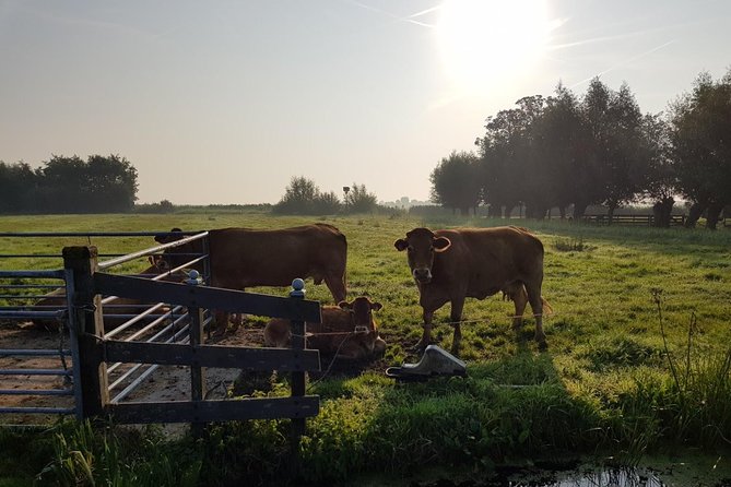 Zaanse Schans and Volendam Private Tour – Clogs, Cheese and More - Volendam: a fishing village stop with real dinner potential