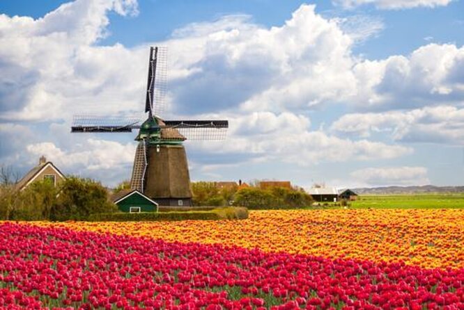 Zaanse Schans Windmills, Clogs and Dutch Cheese Small-Group Tour from Amsterdam - Kooijman Souvenirs & Clogs workshop: see clogs made, not just sold