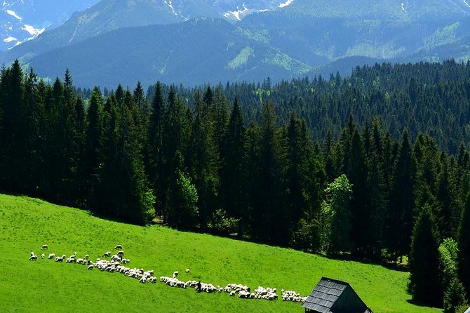 ZAKOPANE & THERMAL SPRINGS, Funicular, Cheese Tasting - Chochołów’s wooden village and the Bacówka-style Oscypek stop
