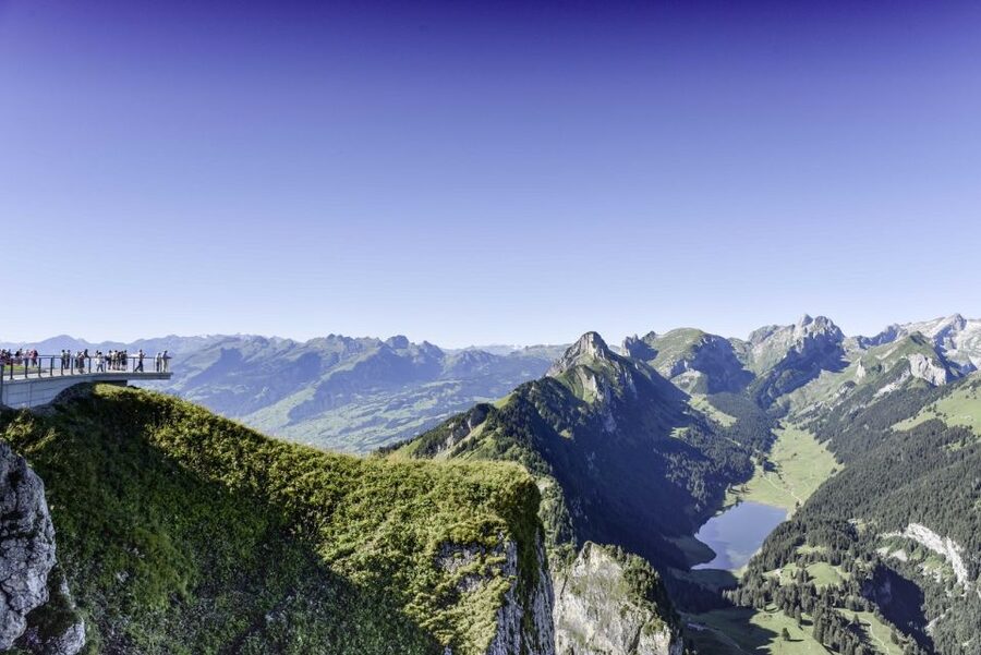 Zurich: Appenzell Day Trip with Farm Visit & Cheese Tasting - Zurich to Appenzell: the scenic drive that sets the mood