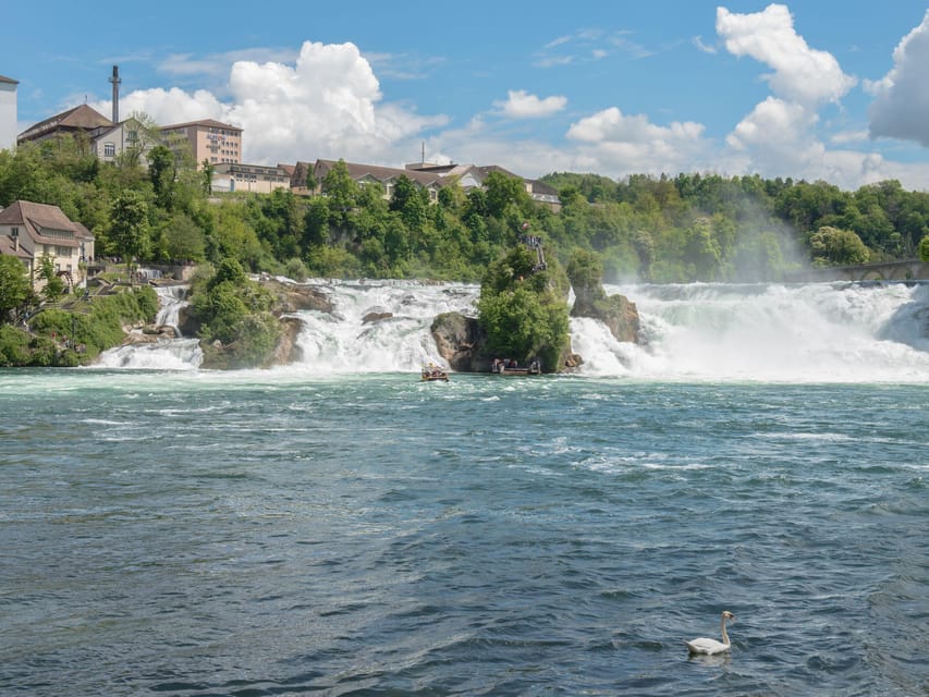 Zurich: Rhine Falls, Chocolate & Cheese Factory Day Trip - Who should book this Rhine Falls, chocolate, and cheese day?